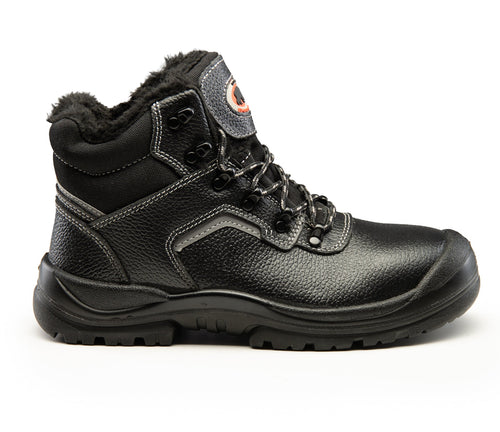 BEARFIELD TRZEWIK OCIEPLANY R02 S3 SRC