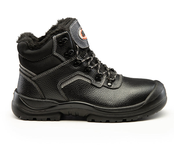 BEARFIELD TRZEWIK OCIEPLANY R02 S3 SRC