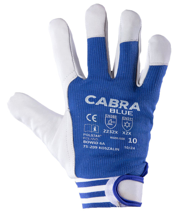CABRA CABRA BLUE KAT. II